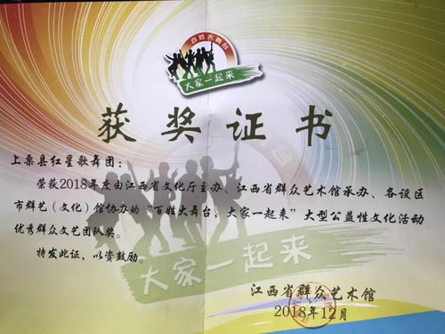 大地紅之夏文藝活動(dòng)榮獲省級優(yōu)秀組織獎(jiǎng)，紅星歌舞團(tuán)獲優(yōu)秀群眾文藝團(tuán)隊(duì)獎(jiǎng)，共促文化藝術(shù)交流新篇章